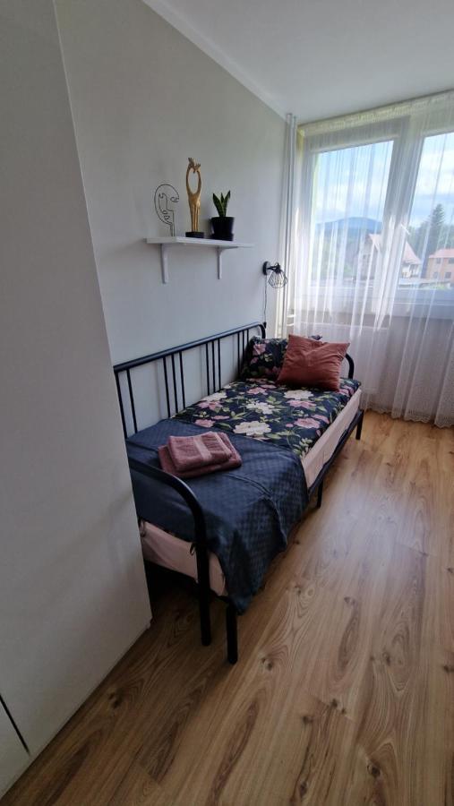 شقة Apartament Spoko-Loko Stronie Śląskie المظهر الخارجي الصورة